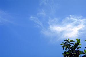 やすらぎと故人を感じる空間での葬儀