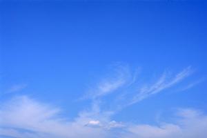 確かな安心を約束する浅草のお墓