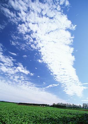 家族葬を川越で受付をする葬儀の専門会社