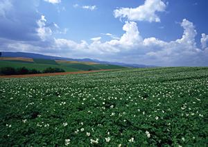 静岡県富士宮市の家族葬・葬儀場を選ぶなら【富士葬祭】?安心の地域密着型葬儀サービス