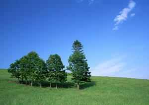 静岡県焼津市の家族葬専門斎場「家族葬のタクセル焼津」：安心と低価格を両立した葬儀サービス