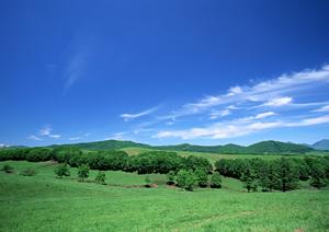 静岡県浜松市中央区に新しい家族葬ホールが登場！『家族葬のタクセル豊町』の最新情報と特徴解説
