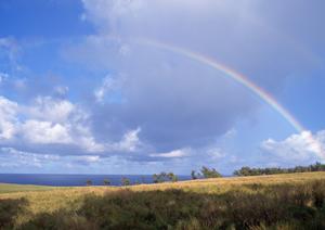 馬込で斎場を探すのなら家族葬がお勧め