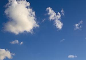 静岡県内で低価格かつ信頼できる葬儀サービスを提供する家族葬のタクセル一覧と特徴解説