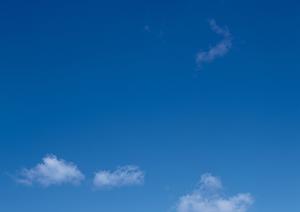 403 Forbiddenエラーの原因と対処法：ウェブサイト訪問者必見の解決ガイド