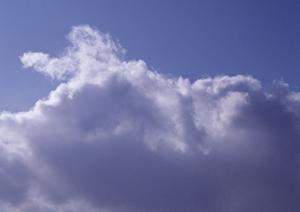 納得の家族葬をリーズナブルな価格で