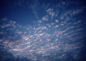 見送る時間にゆとりが生まれるサポート