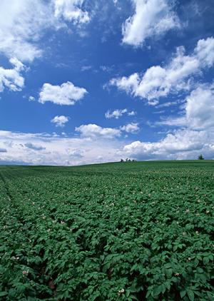 【浜松市中央区高林】富士葬祭 高林の家族葬と葬儀サービスの紹介