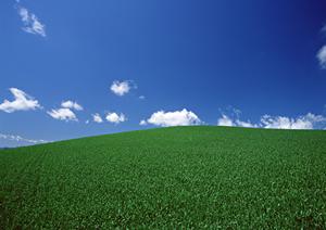 【完全ガイド】さがみ典礼 宇都宮御苑の葬儀サービスと特徴｜安心の家族葬・一般葬を最適価格で提供