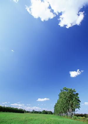 静岡市に根差す信頼の葬儀サービス【富士葬祭 静岡】の特徴と店舗情報