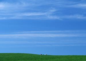 静岡県静岡市における信頼の葬儀サービス：家族葬のタクセルで安心の葬儀を実現