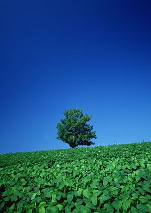 スタッフの顔が見えるお店で仏壇供養