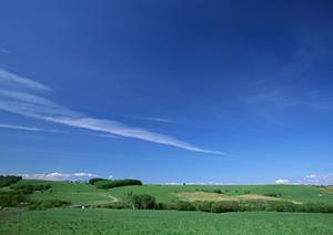 家族の葬儀と専門スタッフへの相談
