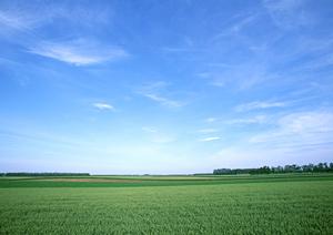 静岡県富士市で選ばれる家族葬の専門斎場【家族葬のタクセル国久保】の特徴と店舗情報