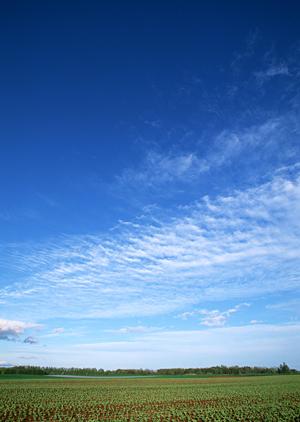 車いすでも安心して行ける永代供養墓