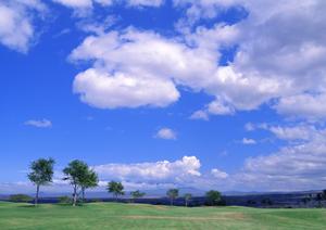 静岡市清水区における家族葬・小規模葬儀の専門：富士葬祭折戸の魅力と最新情報