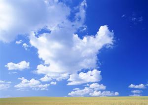 お墓を所有したくないと考えているのなら