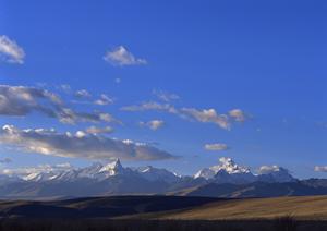 さいたまの家族葬ガイド：費用やプラン、選び方を徹底解説！安心できる葬儀サービスの選び方