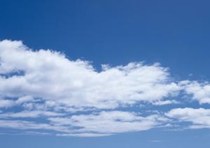 静岡市の家族葬と葬儀場の信頼のサービス｜富士葬祭 材木町の特徴とアクセス情報