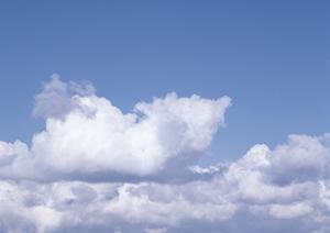 【2025年最新版】さいたま市で信頼できる葬儀会社と選び方完全ガイド