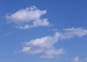 いまそう羽束師会館で負担の少ない葬儀