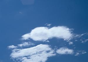 愛するペットを安心して見送るためのペット火葬ガイド：選び方から手続きまで徹底解説