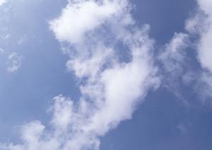 栃木市における信頼と実績の葬儀サービス：さがみ典礼 栃木昭和町の詳細と特徴