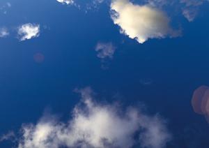 鹿児島唯一の県知事認証NPO法人とは