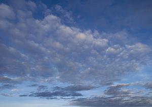 川越市で安心・信頼の家族葬を実現するためのポイントと選び方ガイド