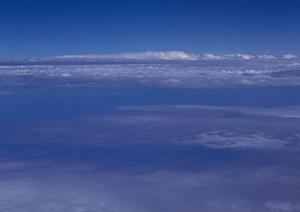 仙台市の近くでおすすめの自然葬について